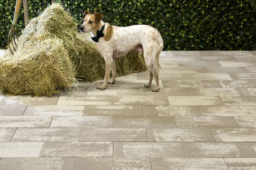 Pavé Prestance brun nuancé